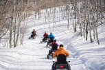 Group Snowmobiling